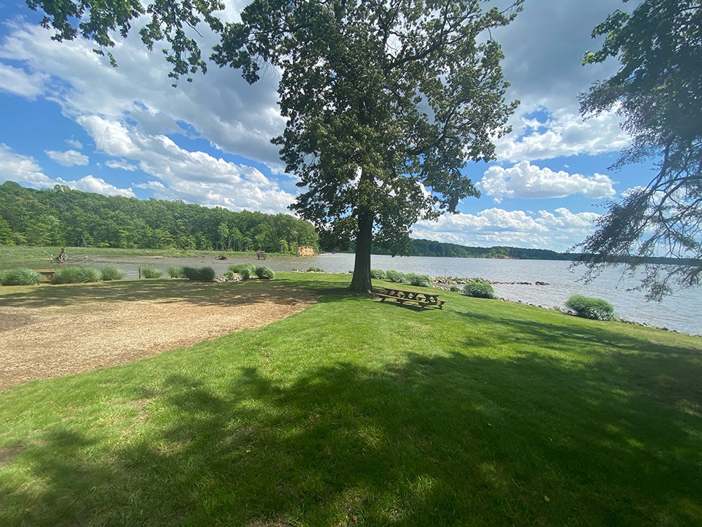 View of the point at Point of View: overlooking Belmont bay with trees and a picnic table.