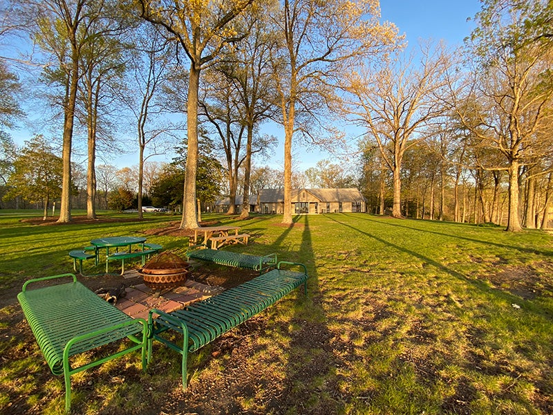 Benches outside among trees
